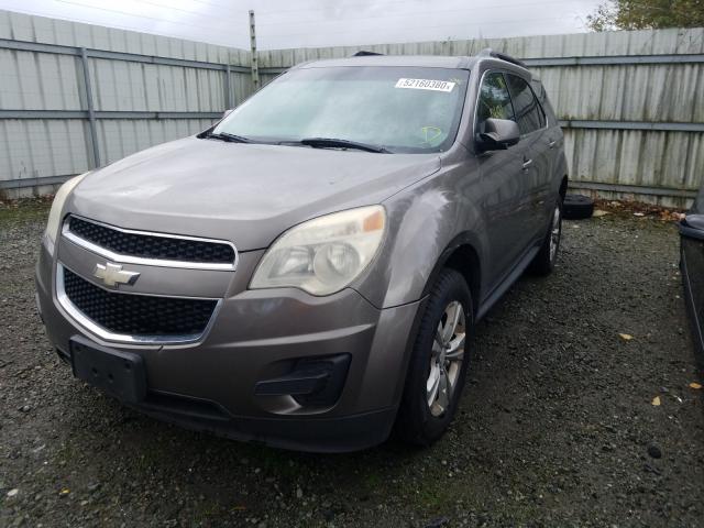 Photo 1 VIN: 2CNALDEW9A6233850 - CHEVROLET EQUINOX LT 