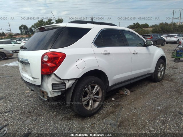 Photo 3 VIN: 2CNALDEW9A6310636 - CHEVROLET EQUINOX 