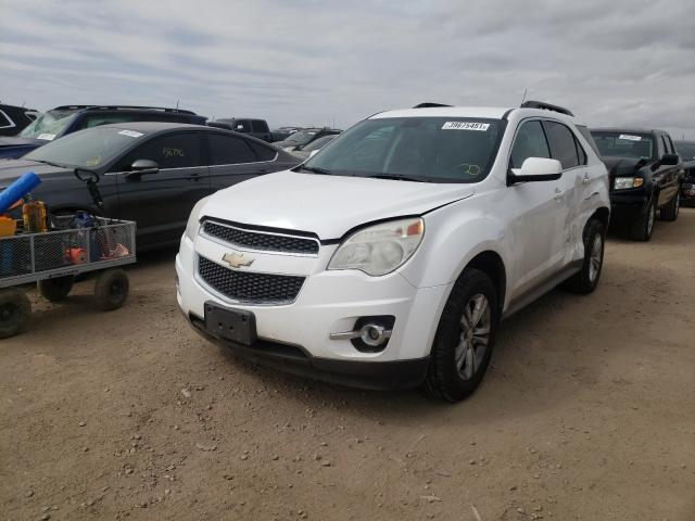 Photo 1 VIN: 2CNALPEW4A6295111 - CHEVROLET EQUINOX LT 