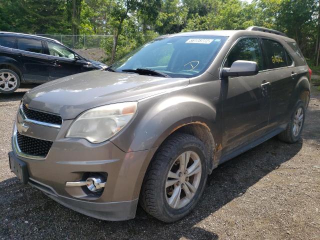 Photo 1 VIN: 2CNALPEW8A6301038 - CHEVROLET EQUINOX LT 