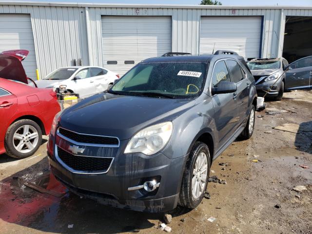 Photo 1 VIN: 2CNALPEW9A6260502 - CHEVROLET EQUINOX LT 