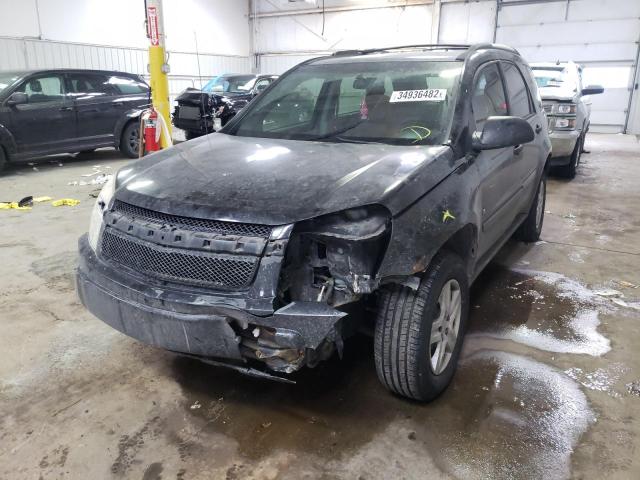 Photo 1 VIN: 2CNDL13F166172760 - CHEVROLET EQUINOX LS 