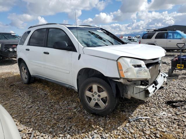 Photo 3 VIN: 2CNDL13F256084783 - CHEVROLET EQUINOX 