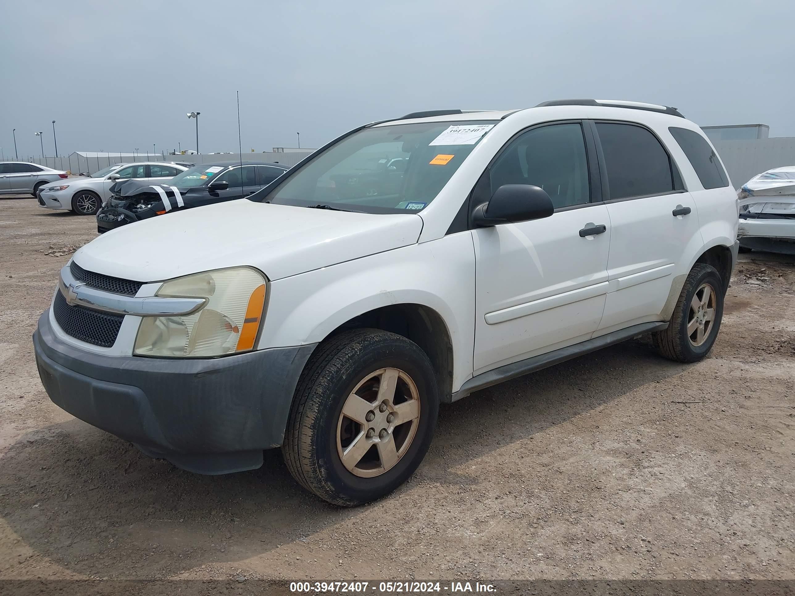 Photo 1 VIN: 2CNDL13F456061327 - CHEVROLET EQUINOX 