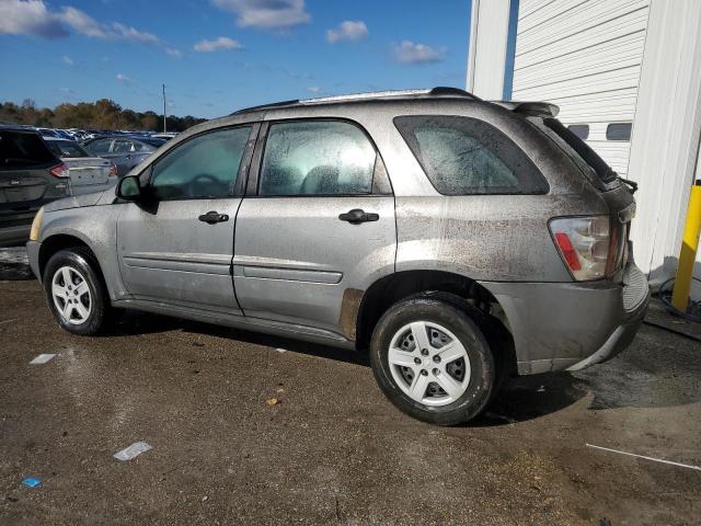 Photo 1 VIN: 2CNDL13F466198124 - CHEVROLET EQUINOX LS 