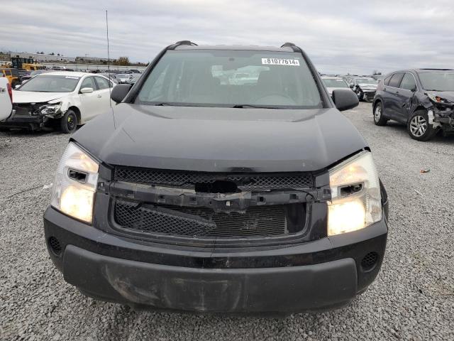 Photo 4 VIN: 2CNDL13F566212032 - CHEVROLET EQUINOX LS 