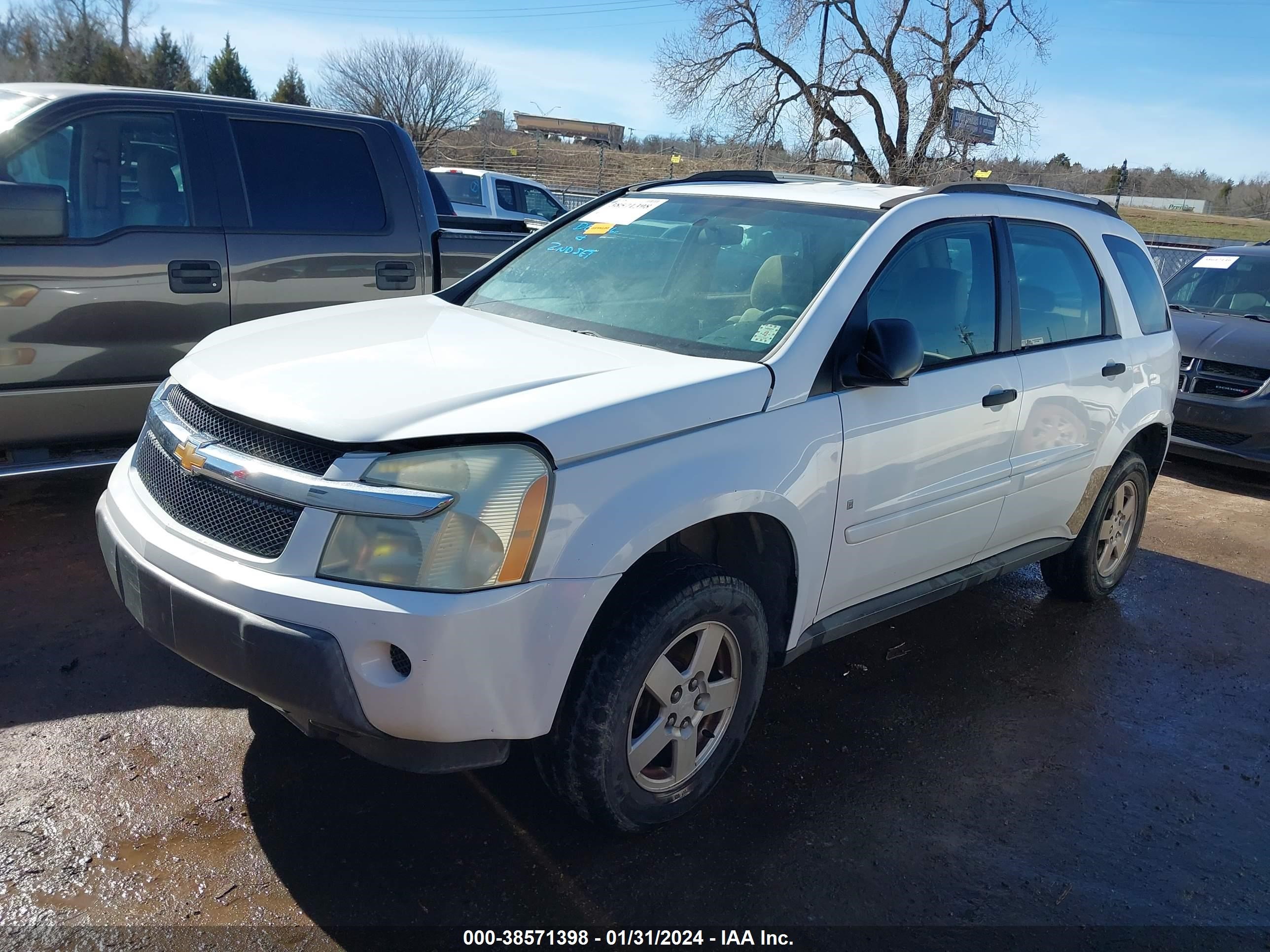 Photo 1 VIN: 2CNDL13F666186136 - CHEVROLET EQUINOX 