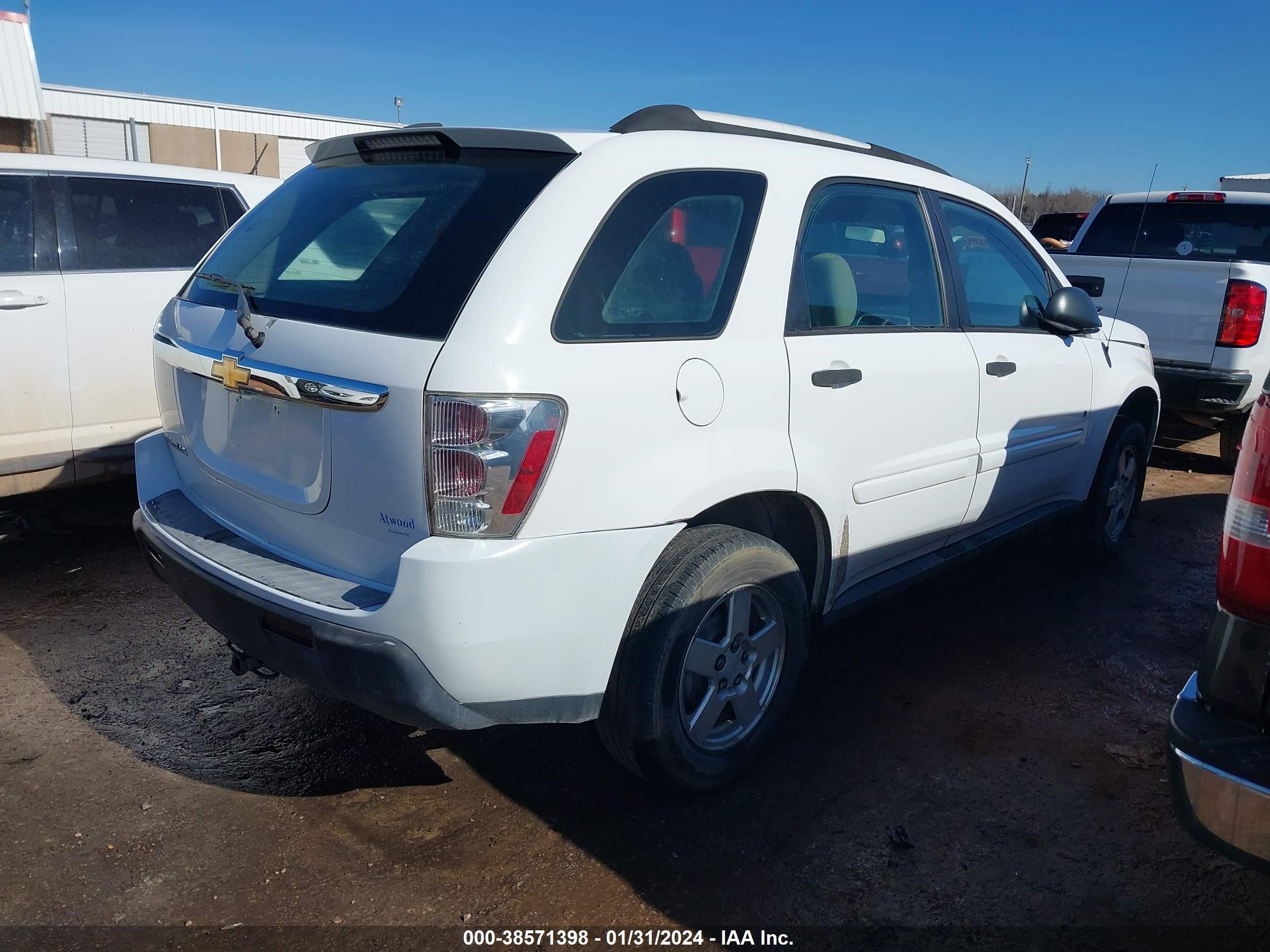 Photo 3 VIN: 2CNDL13F666186136 - CHEVROLET EQUINOX 