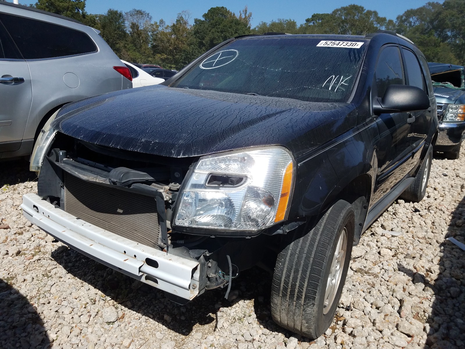 Photo 1 VIN: 2CNDL13F696233640 - CHEVROLET EQUINOX LS 