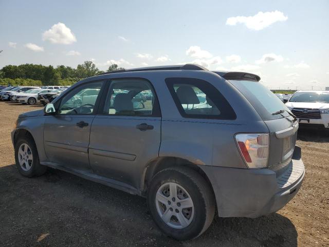 Photo 1 VIN: 2CNDL13F956114183 - CHEVROLET EQUINOX LS 