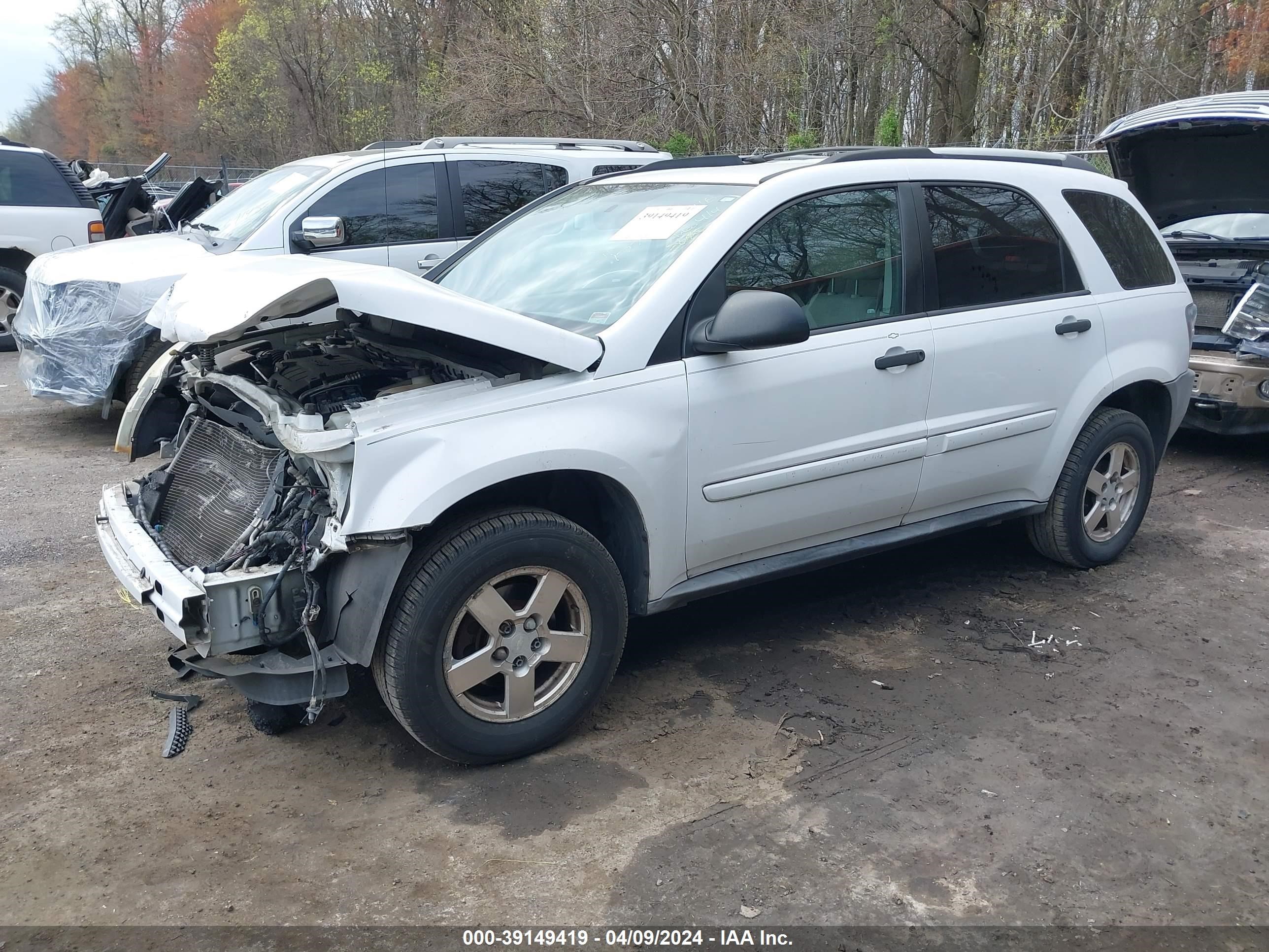 Photo 1 VIN: 2CNDL13F956177784 - CHEVROLET EQUINOX 