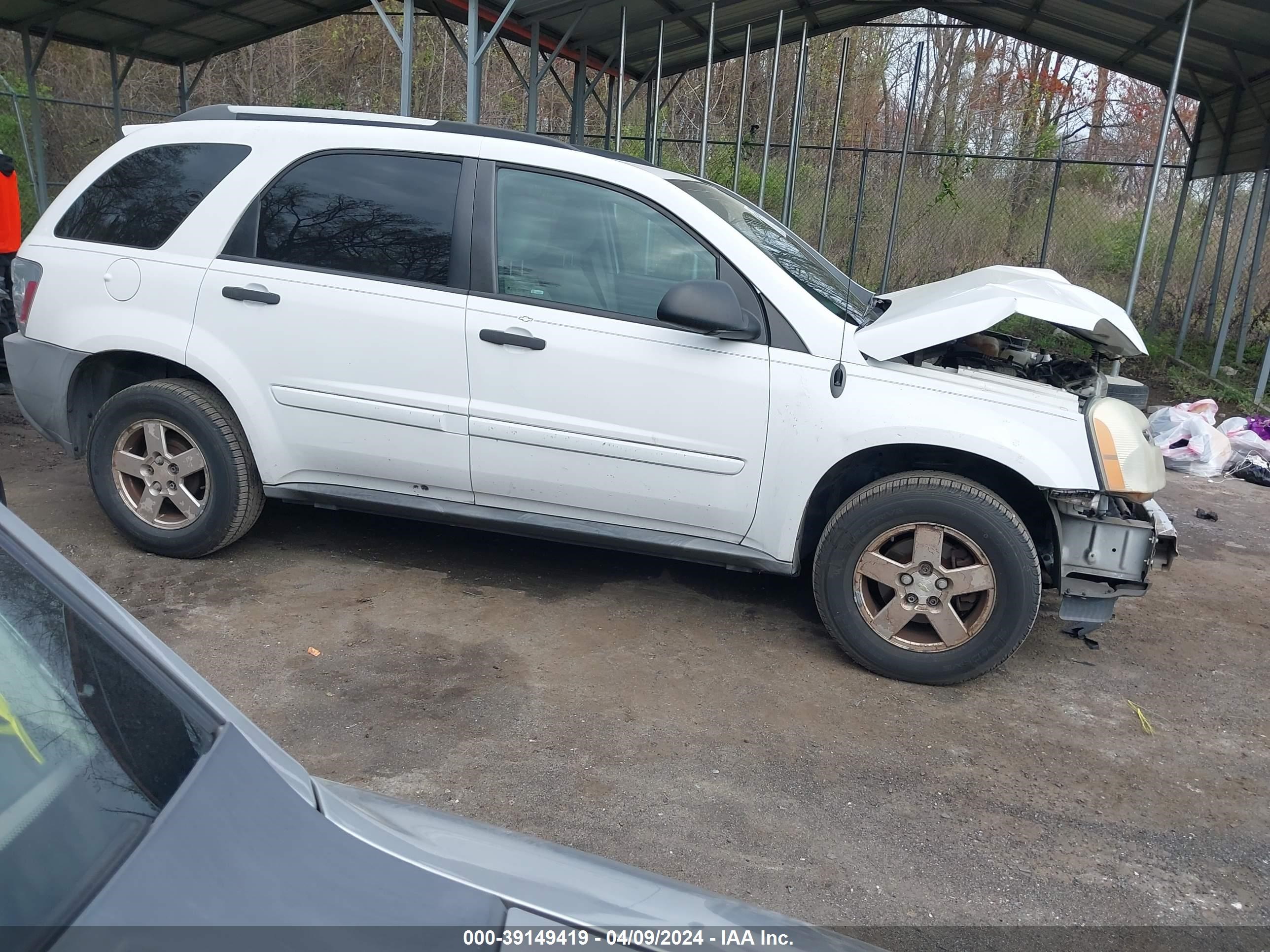 Photo 12 VIN: 2CNDL13F956177784 - CHEVROLET EQUINOX 