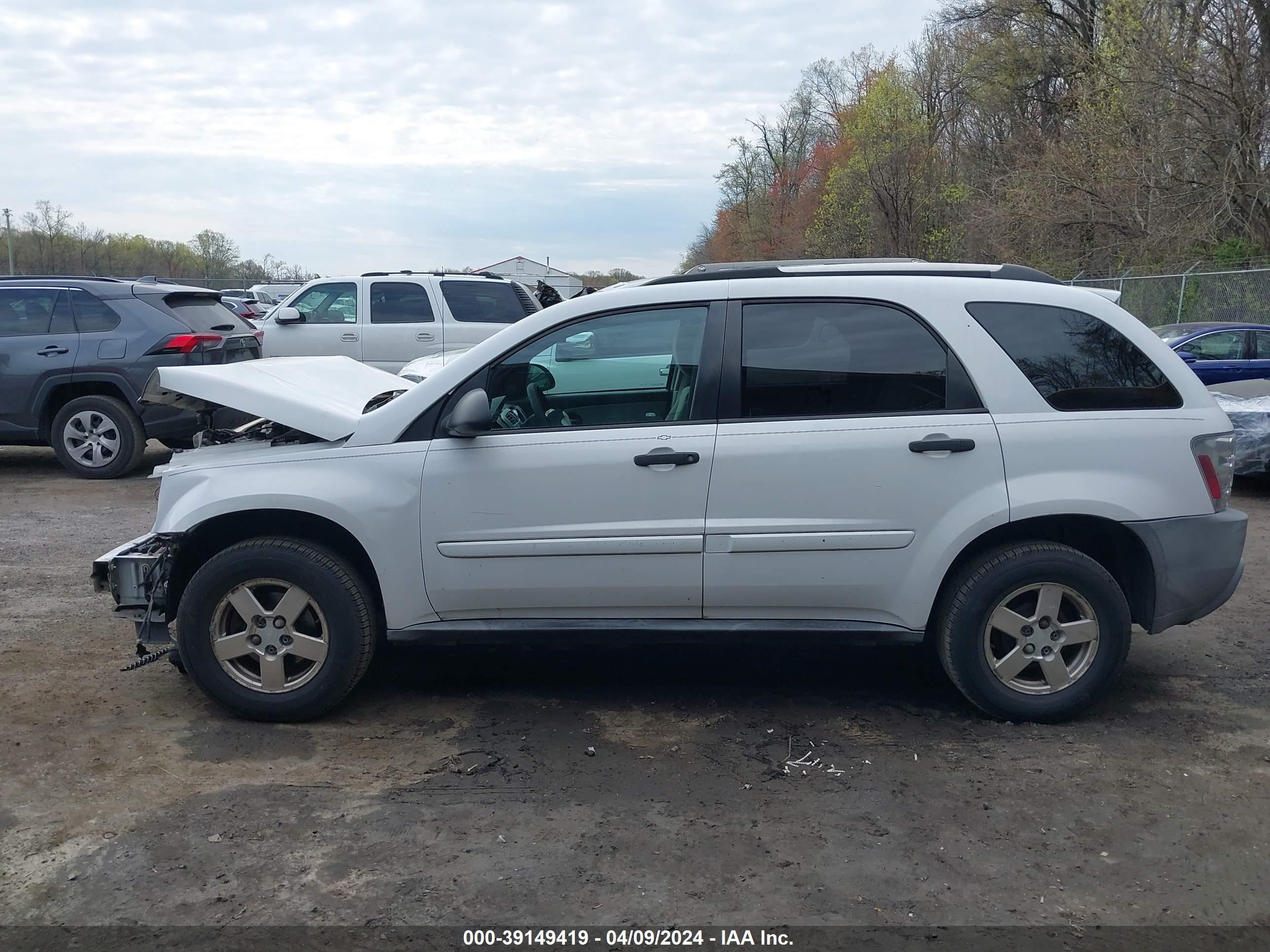 Photo 13 VIN: 2CNDL13F956177784 - CHEVROLET EQUINOX 