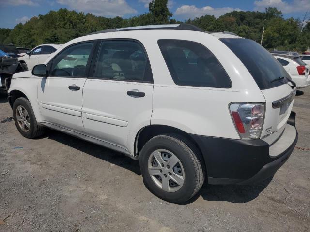 Photo 1 VIN: 2CNDL13FX56156281 - CHEVROLET EQUINOX LS 