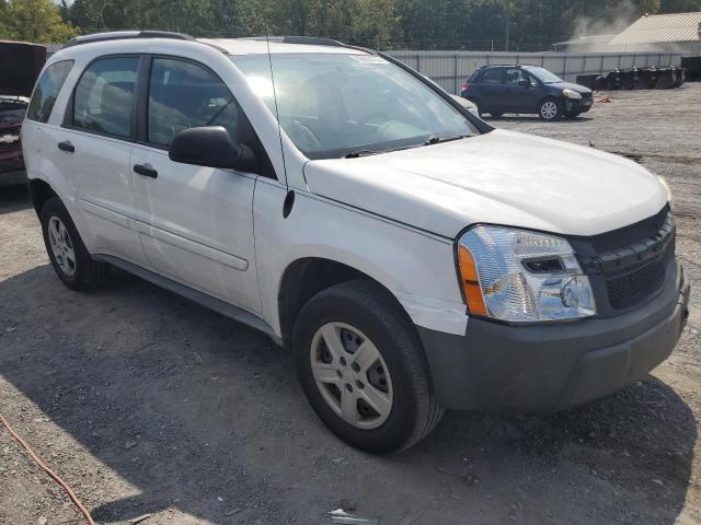 Photo 3 VIN: 2CNDL13FX56156281 - CHEVROLET EQUINOX LS 