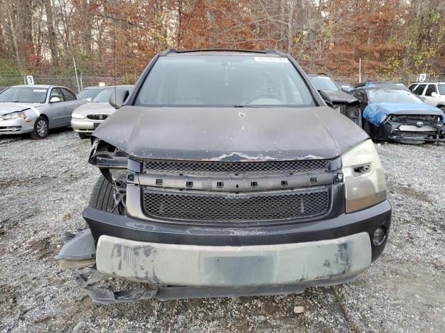 Photo 4 VIN: 2CNDL23F056039704 - CHEVROLET EQUINOX LS 