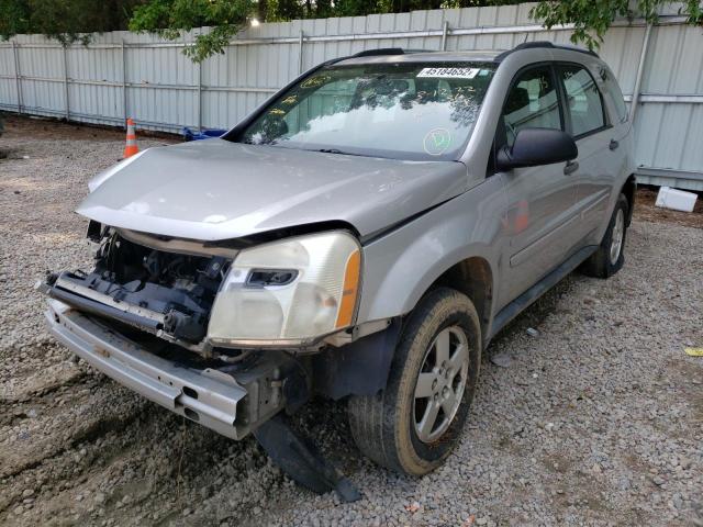 Photo 1 VIN: 2CNDL23F086286421 - CHEVROLET EQUINOX LS 