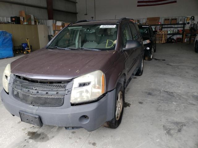 Photo 1 VIN: 2CNDL23F086312192 - CHEVROLET EQUINOX LS 