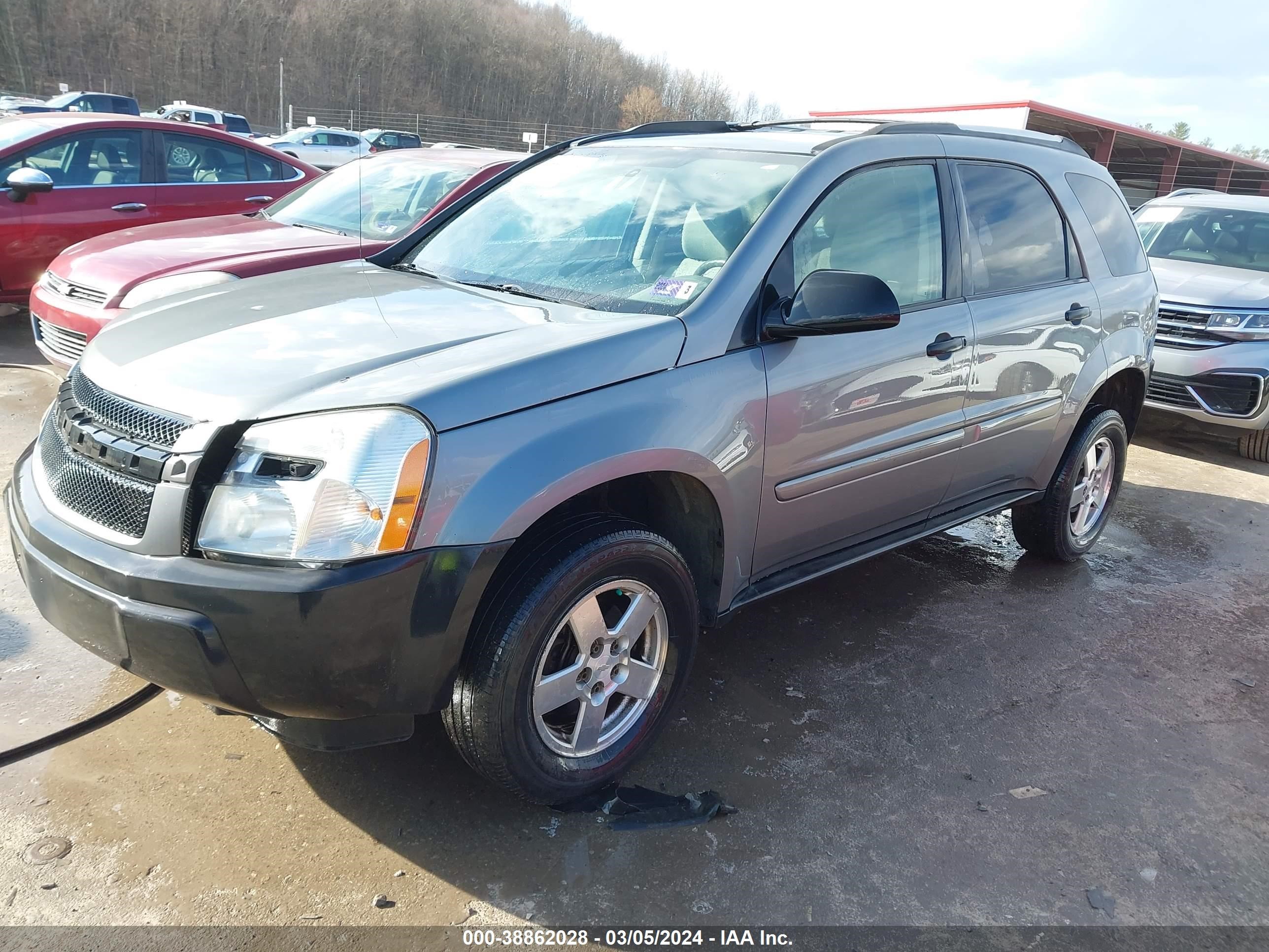 Photo 1 VIN: 2CNDL23F156161648 - CHEVROLET EQUINOX 