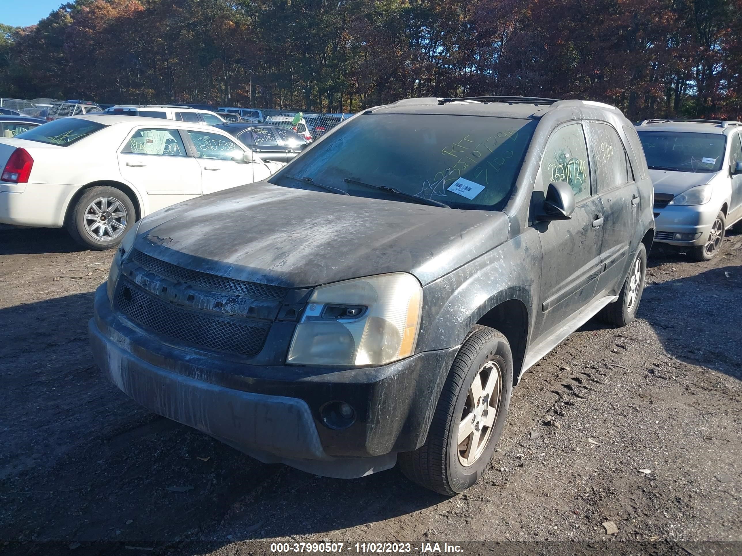 Photo 1 VIN: 2CNDL23F156191149 - CHEVROLET EQUINOX 