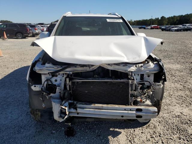 Photo 4 VIN: 2CNDL33FX96245611 - CHEVROLET EQUINOX LT 