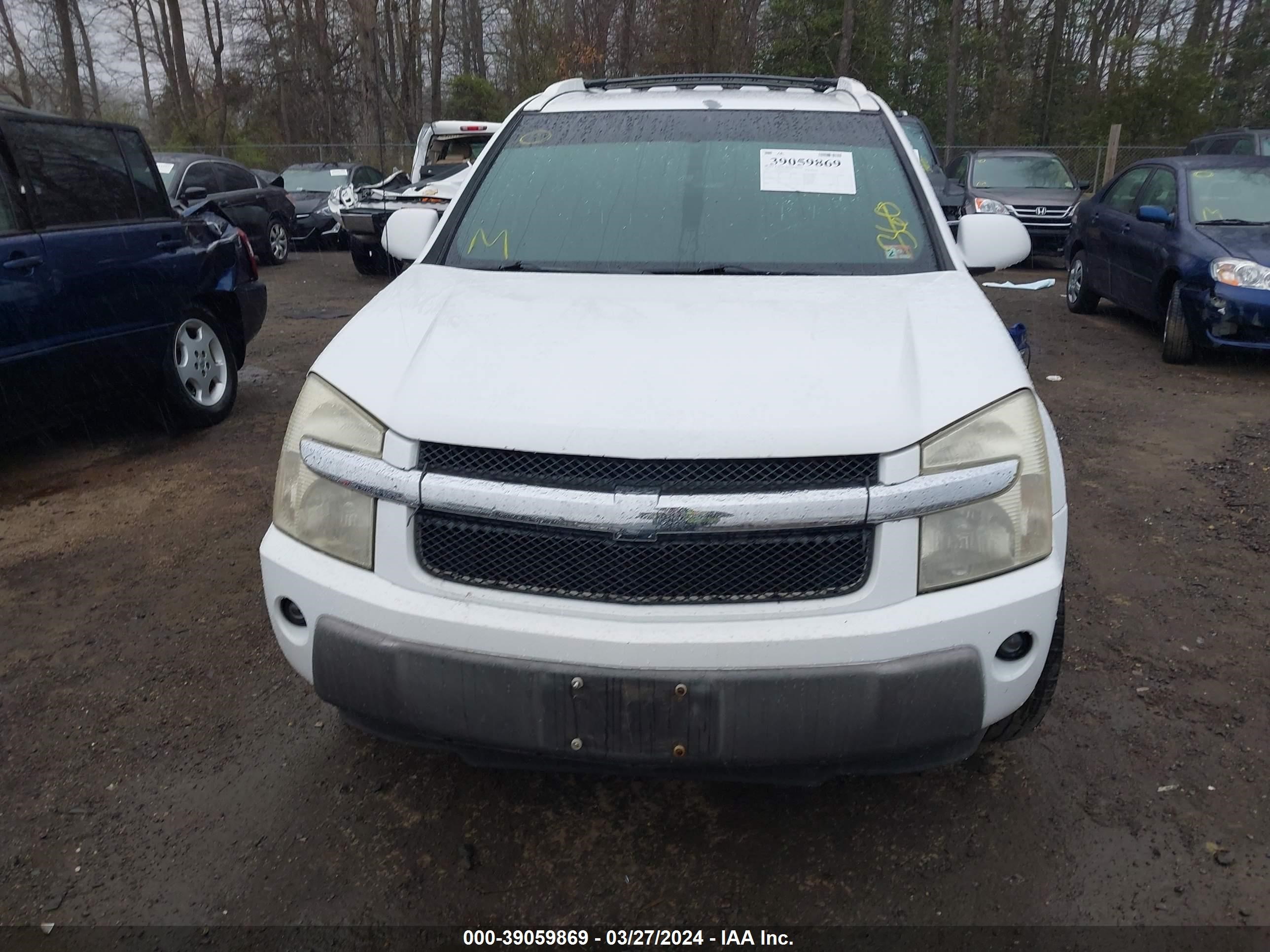 Photo 11 VIN: 2CNDL63F666056130 - CHEVROLET EQUINOX 