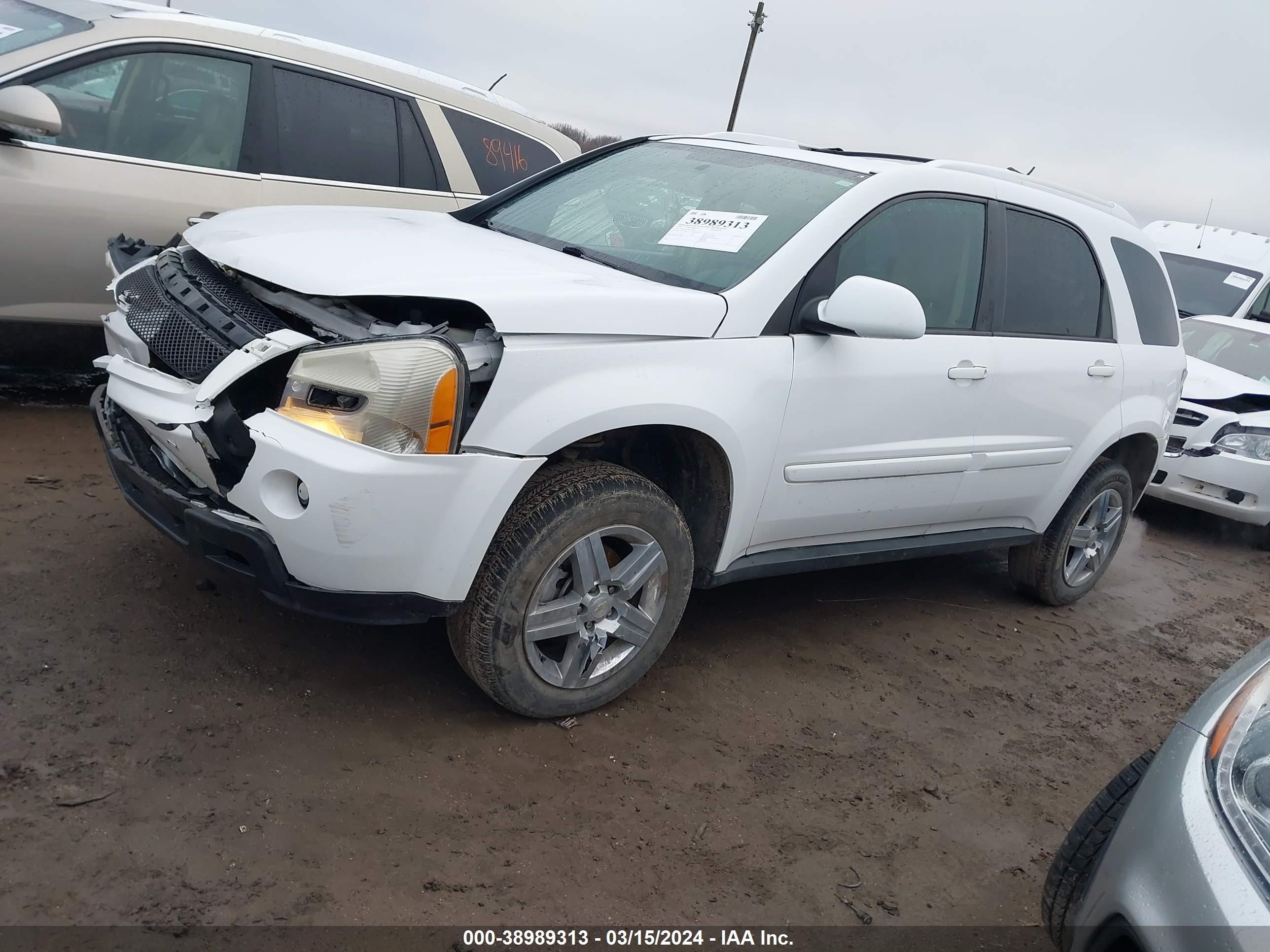 Photo 1 VIN: 2CNDL63F696212056 - CHEVROLET EQUINOX 