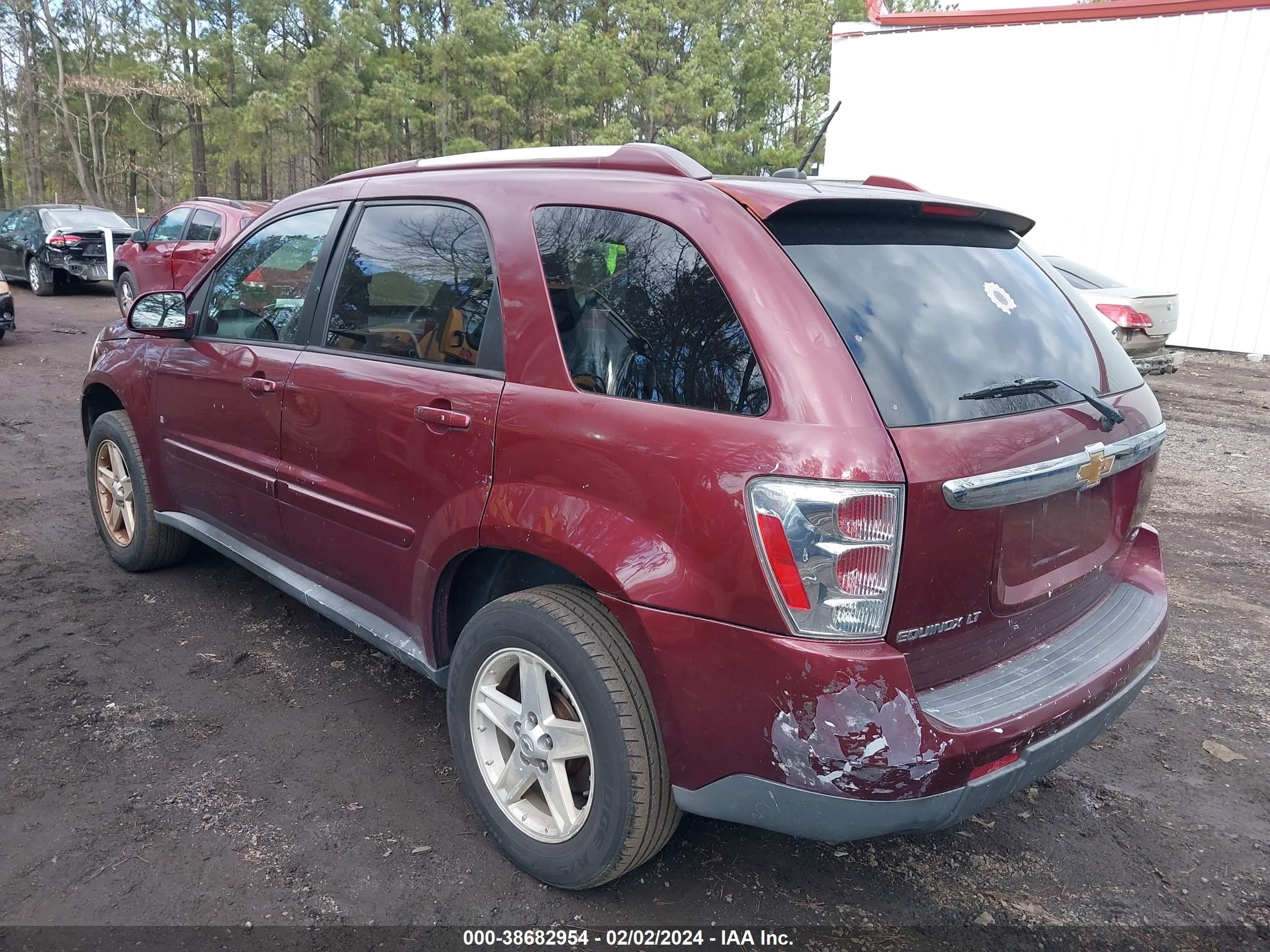 Photo 2 VIN: 2CNDL63F996200225 - CHEVROLET EQUINOX 