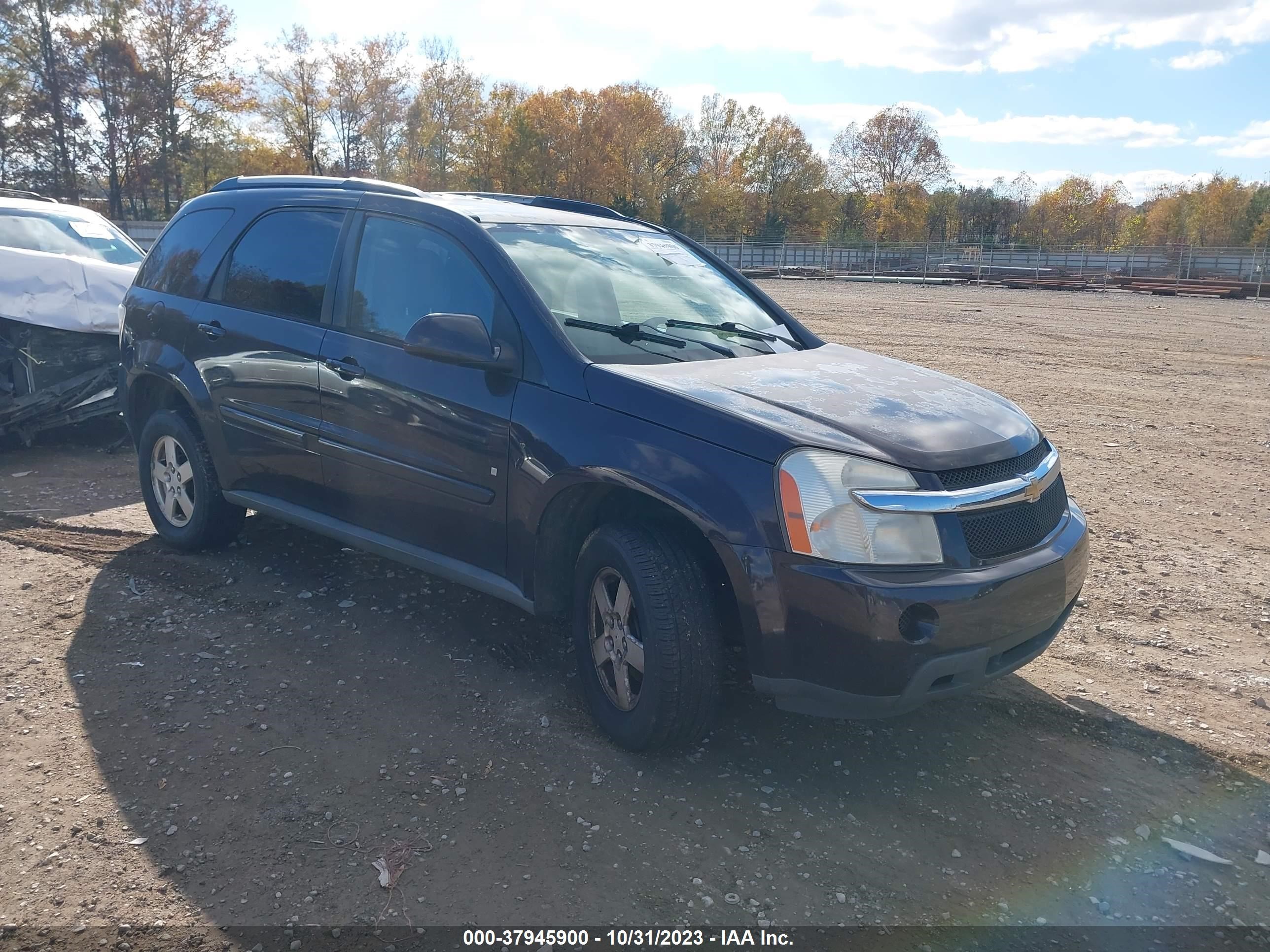 Photo 0 VIN: 2CNDL73F076007674 - CHEVROLET EQUINOX 