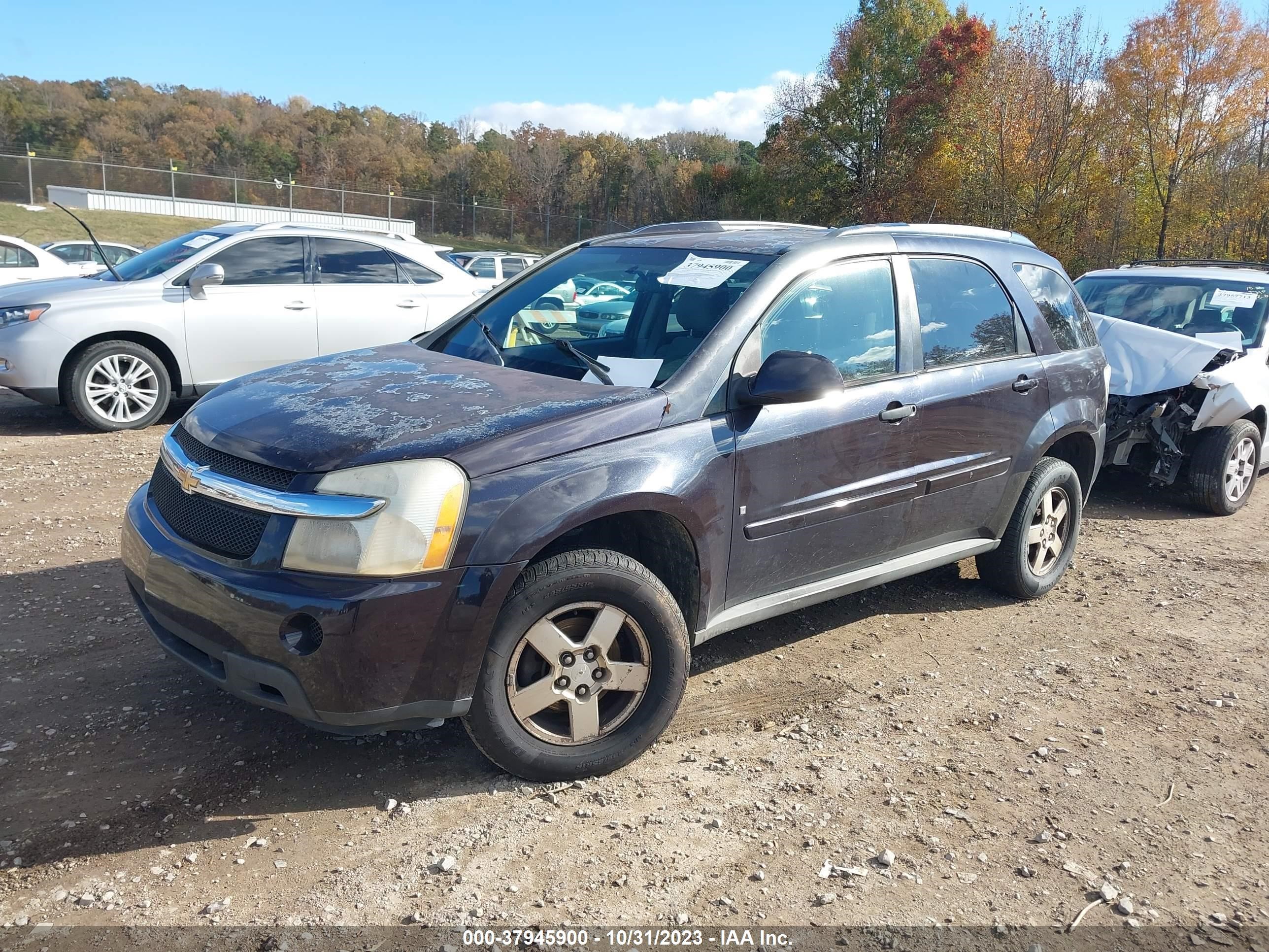 Photo 1 VIN: 2CNDL73F076007674 - CHEVROLET EQUINOX 