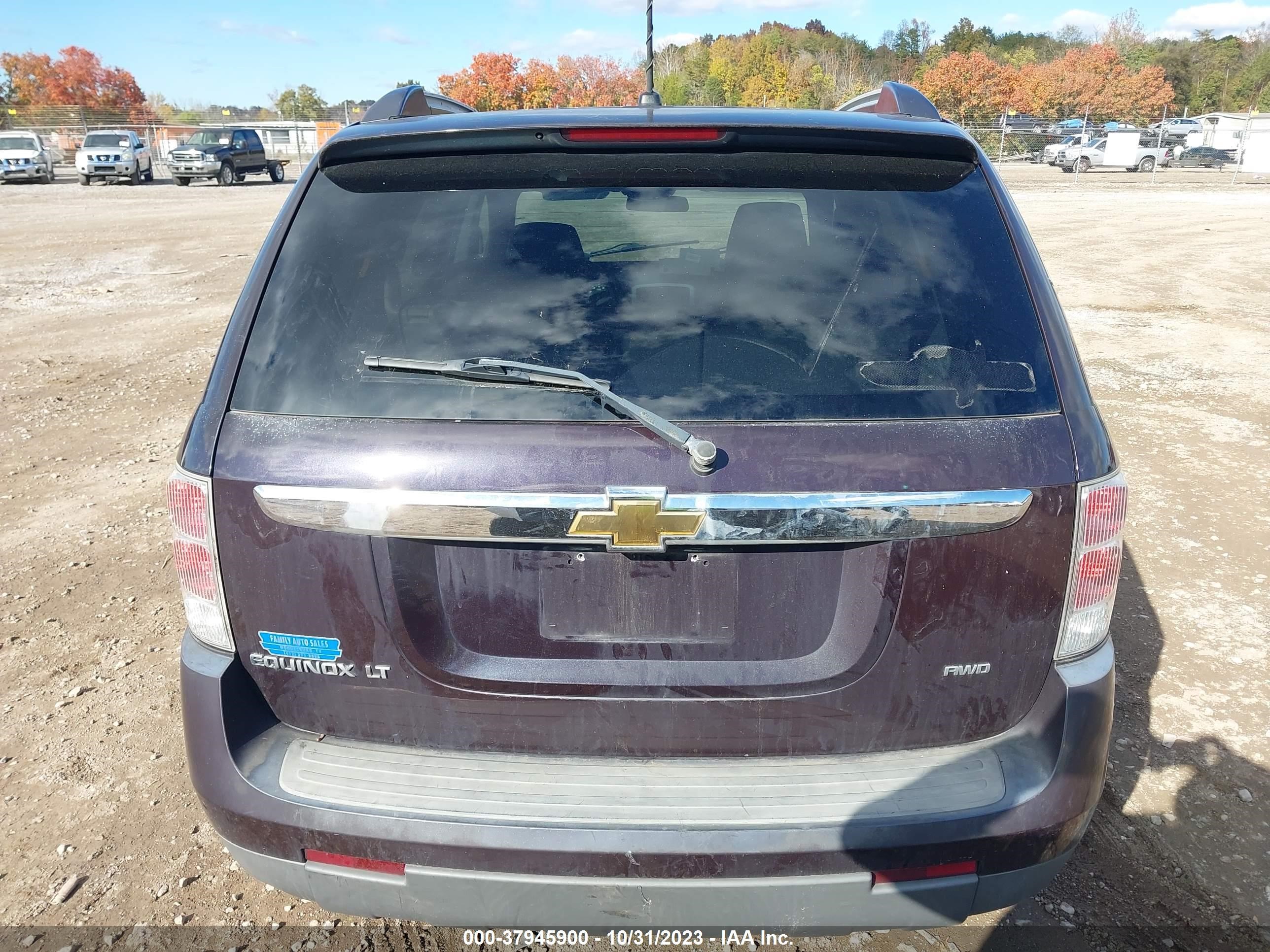 Photo 11 VIN: 2CNDL73F076007674 - CHEVROLET EQUINOX 