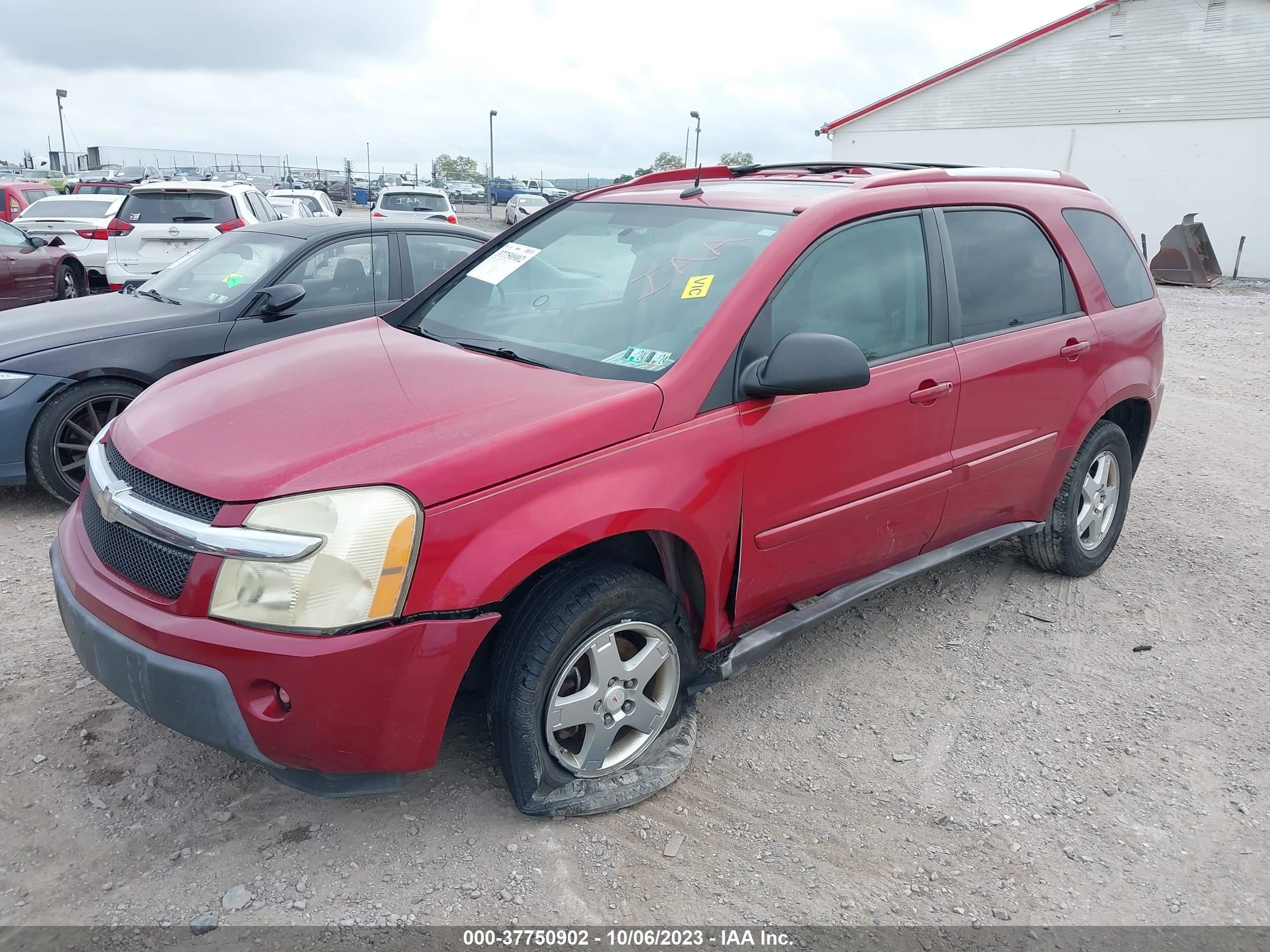 Photo 1 VIN: 2CNDL73F256013232 - CHEVROLET EQUINOX 