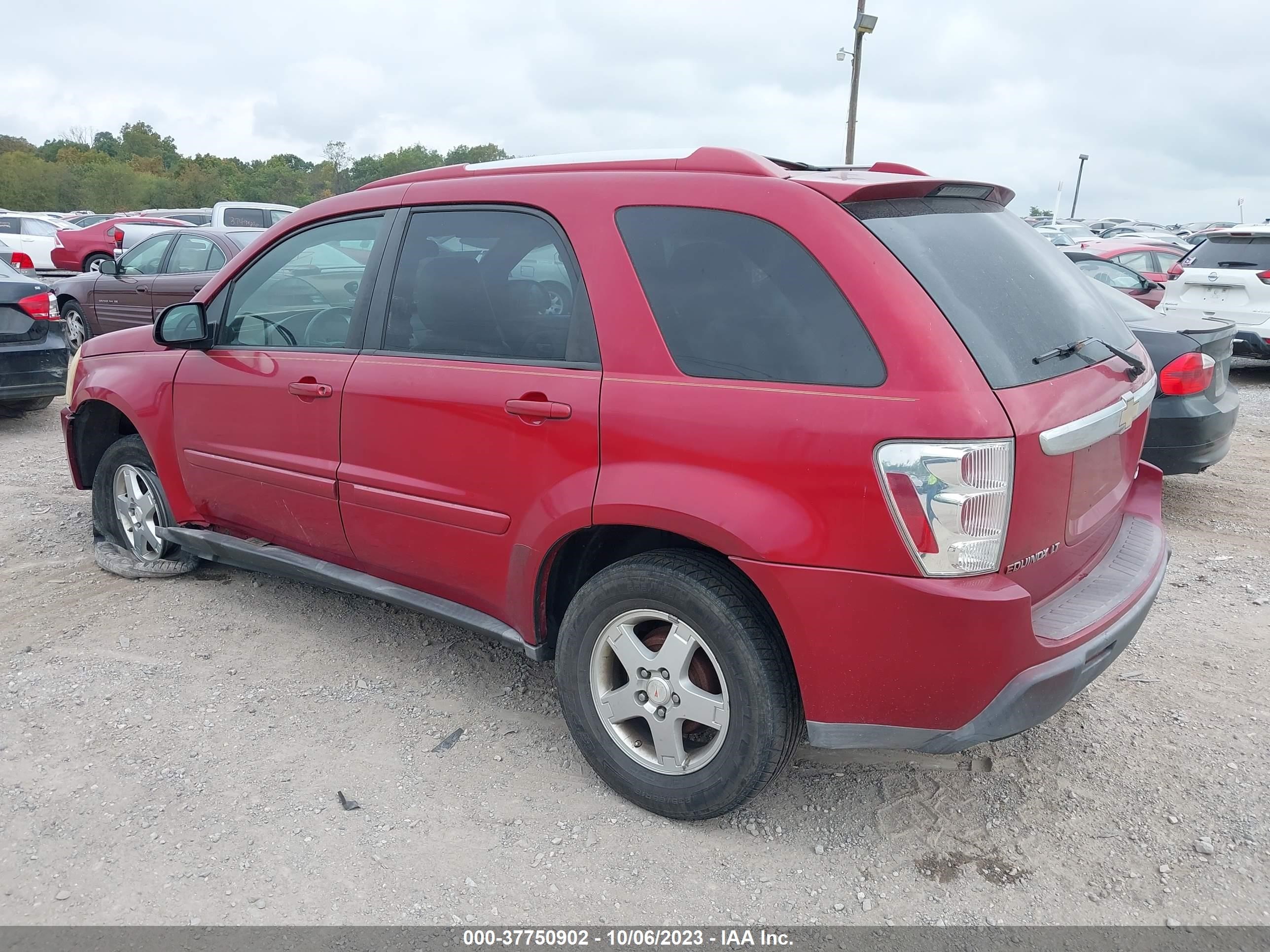 Photo 2 VIN: 2CNDL73F256013232 - CHEVROLET EQUINOX 