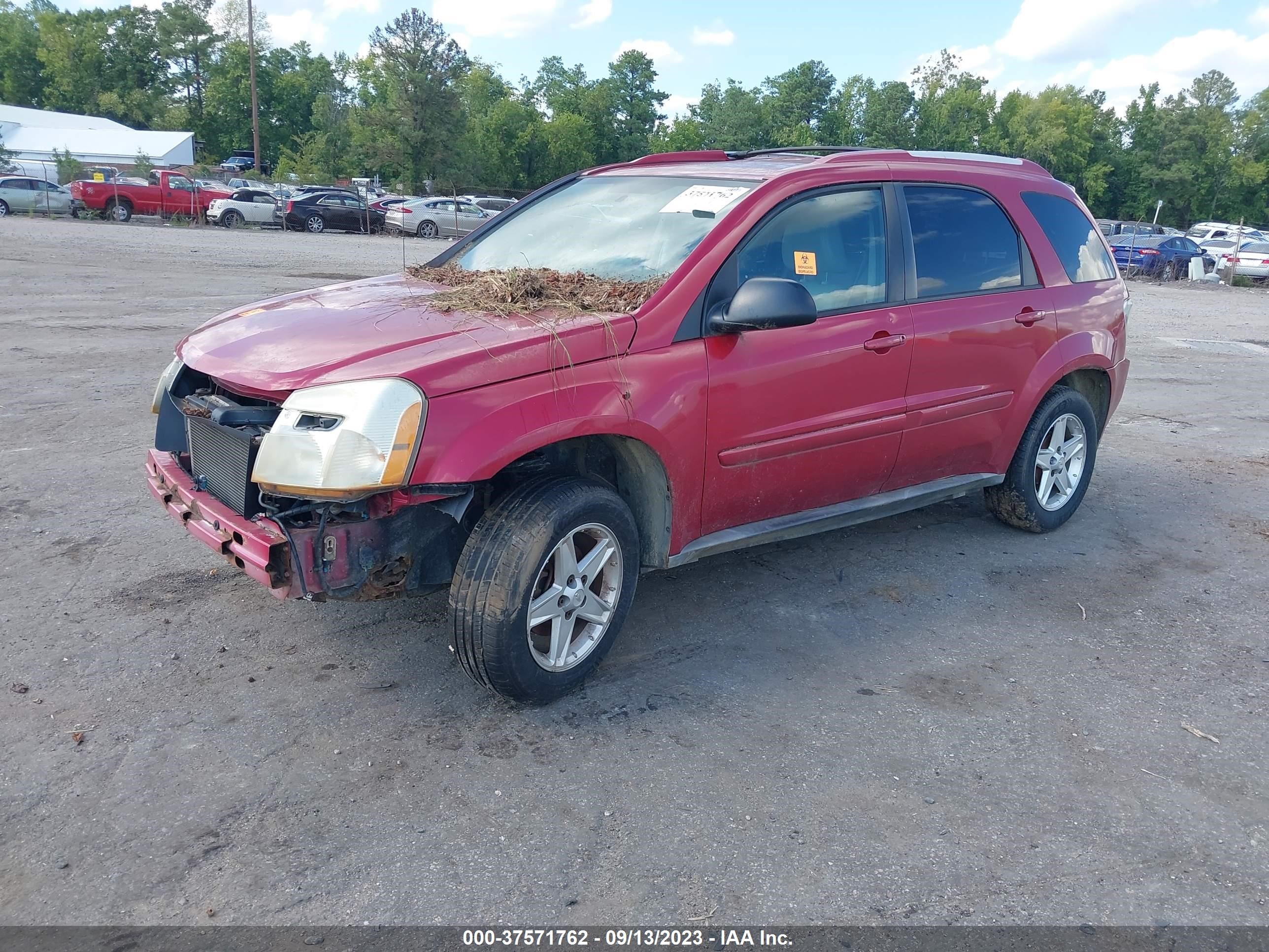 Photo 1 VIN: 2CNDL73F256128591 - CHEVROLET EQUINOX 