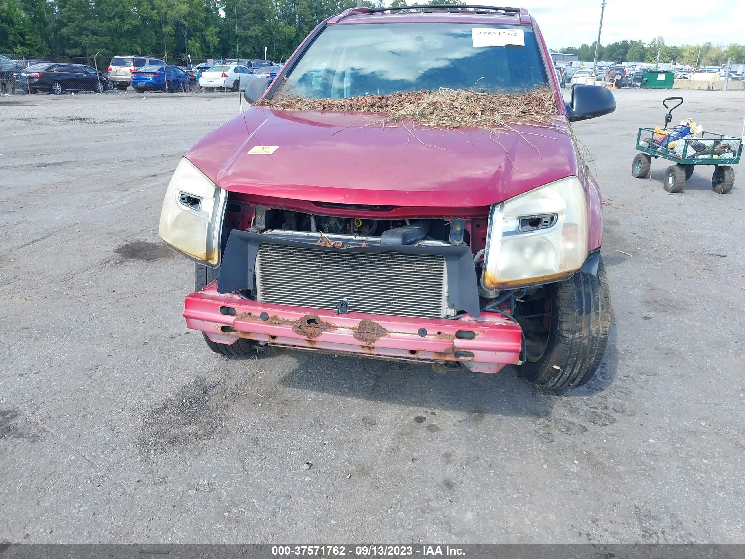 Photo 5 VIN: 2CNDL73F256128591 - CHEVROLET EQUINOX 