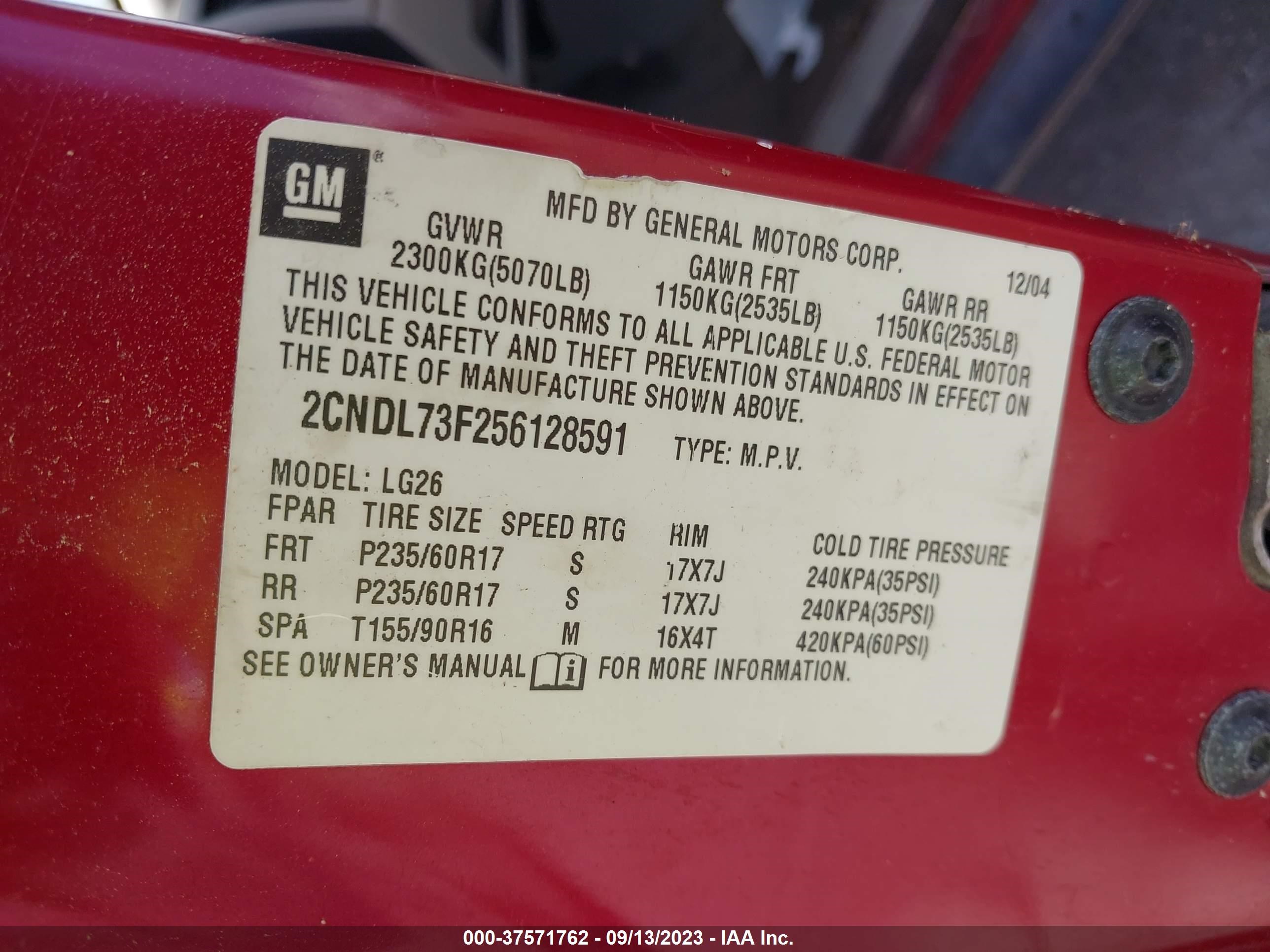 Photo 8 VIN: 2CNDL73F256128591 - CHEVROLET EQUINOX 