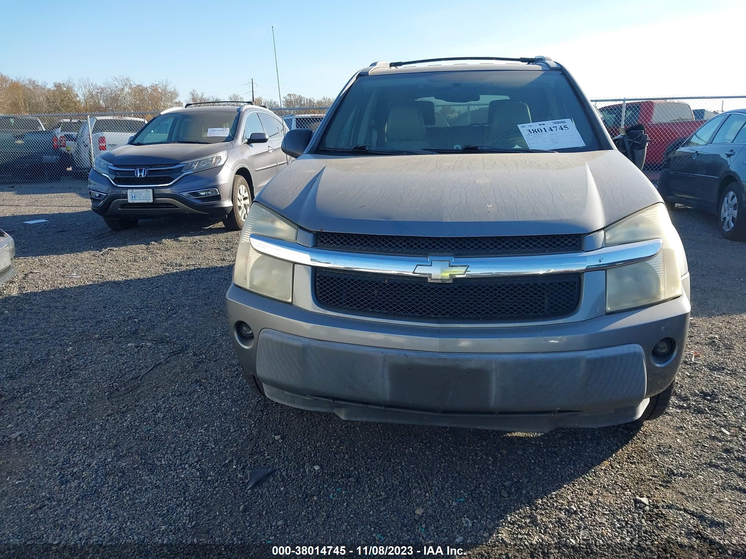 Photo 11 VIN: 2CNDL73F356086108 - CHEVROLET EQUINOX 