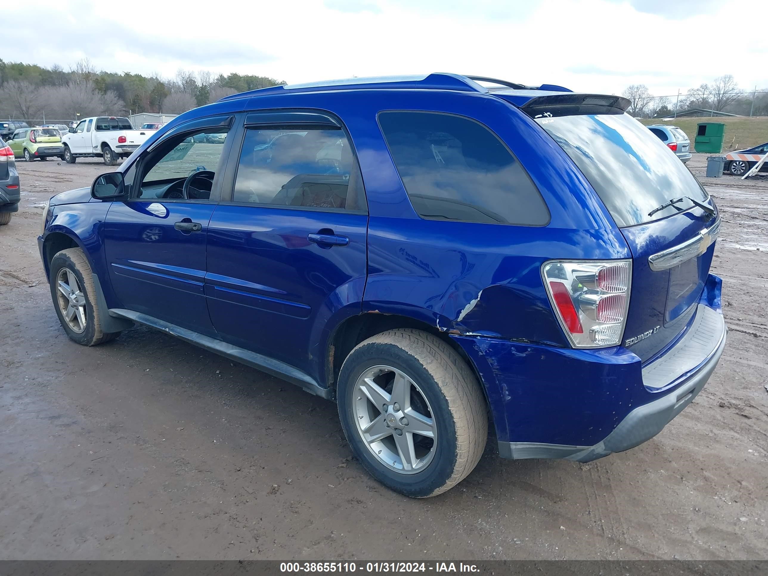 Photo 3 VIN: 2CNDL73F456183088 - CHEVROLET EQUINOX 