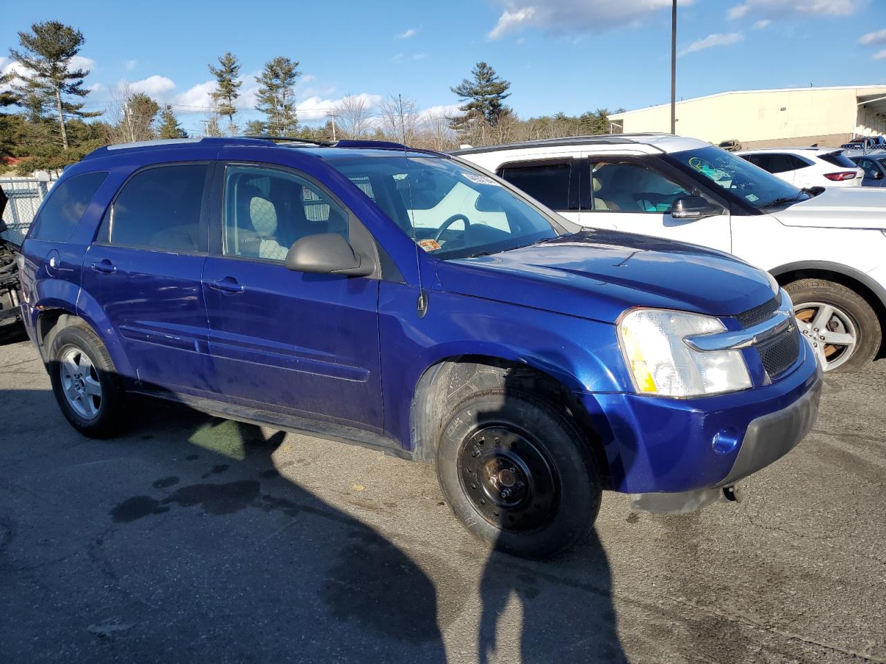 Photo 3 VIN: 2CNDL73F556186923 - CHEVROLET EQUINOX 