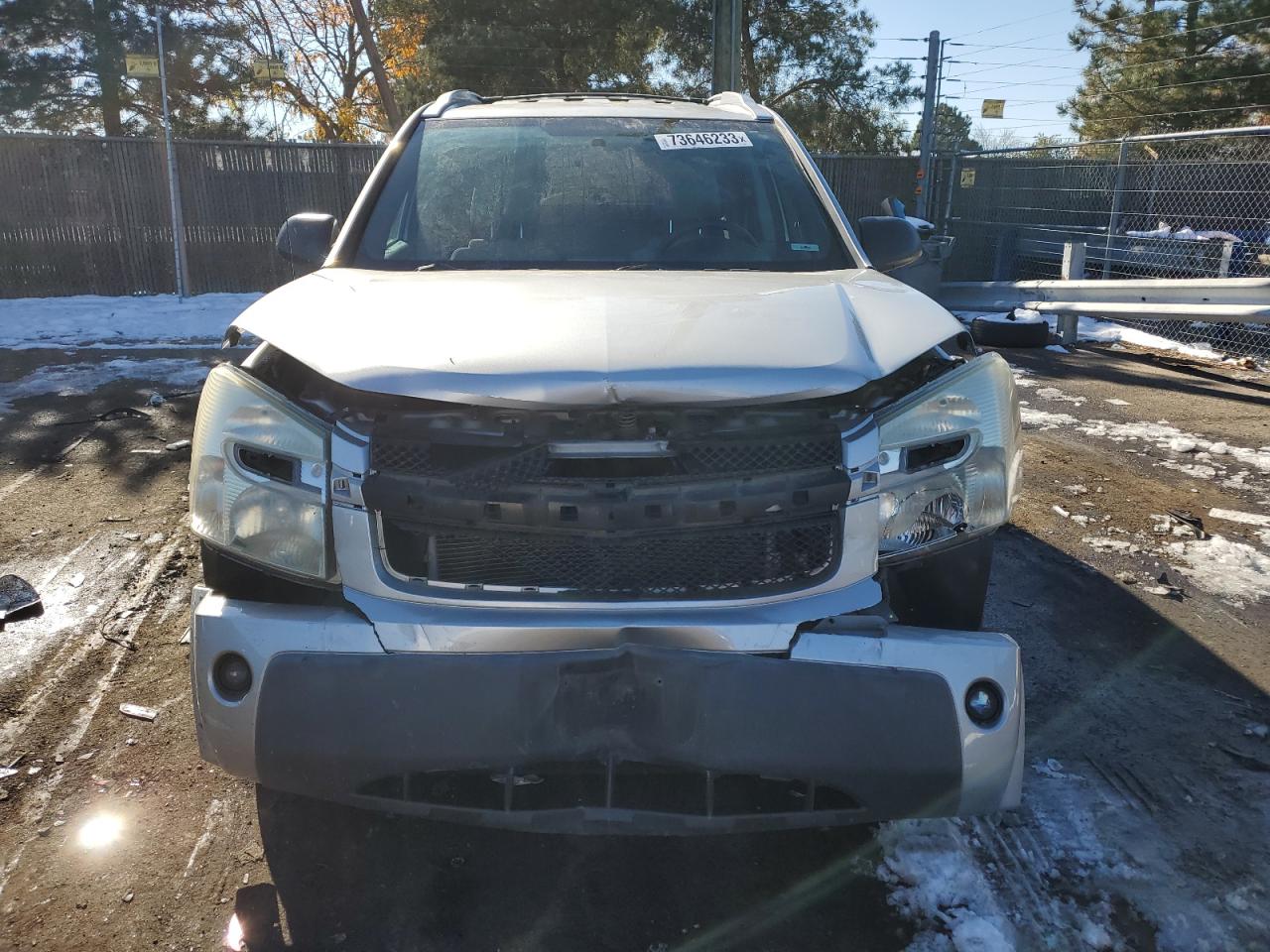 Photo 4 VIN: 2CNDL73F656104309 - CHEVROLET EQUINOX 