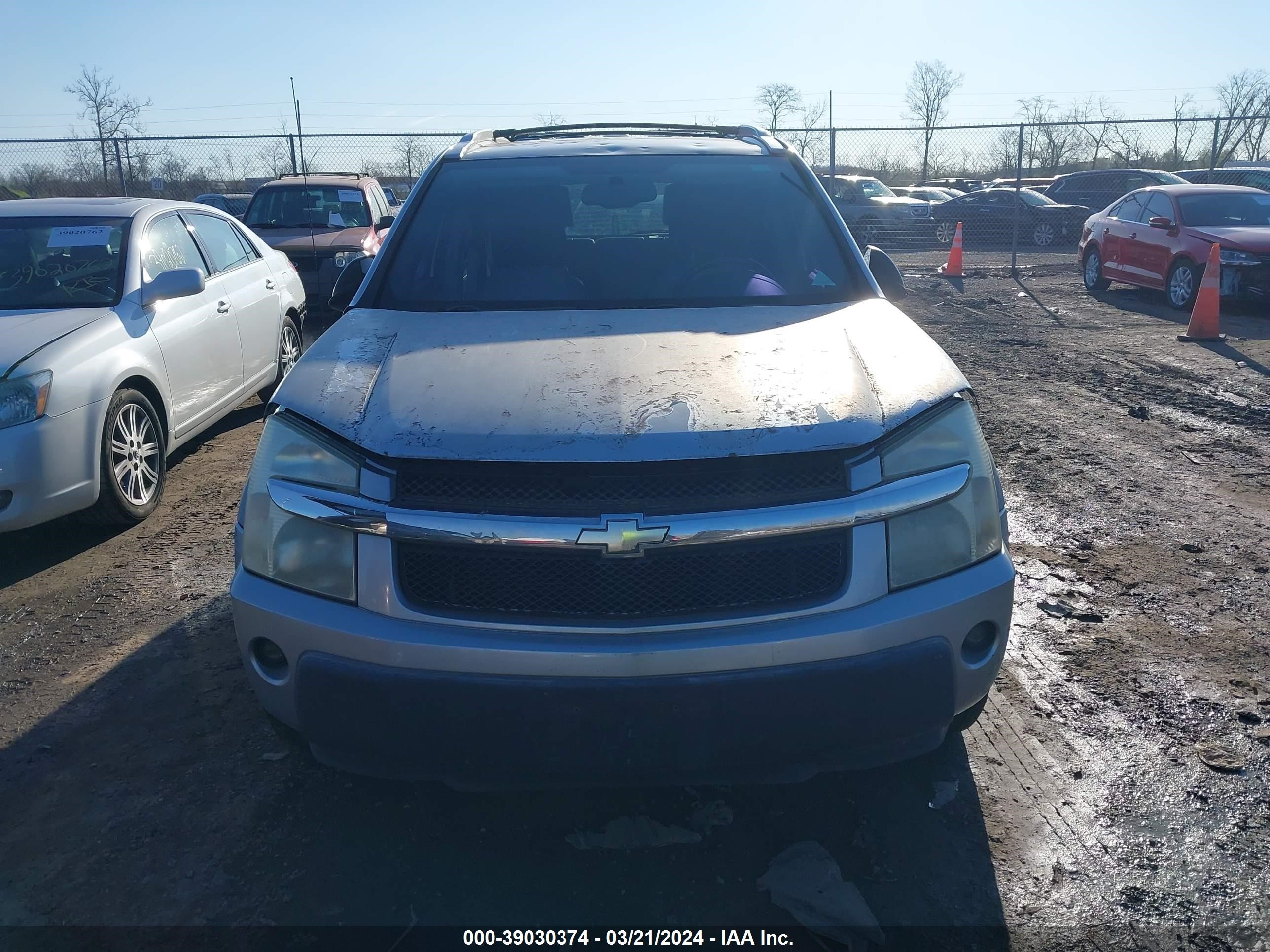 Photo 5 VIN: 2CNDL73F856084547 - CHEVROLET EQUINOX 