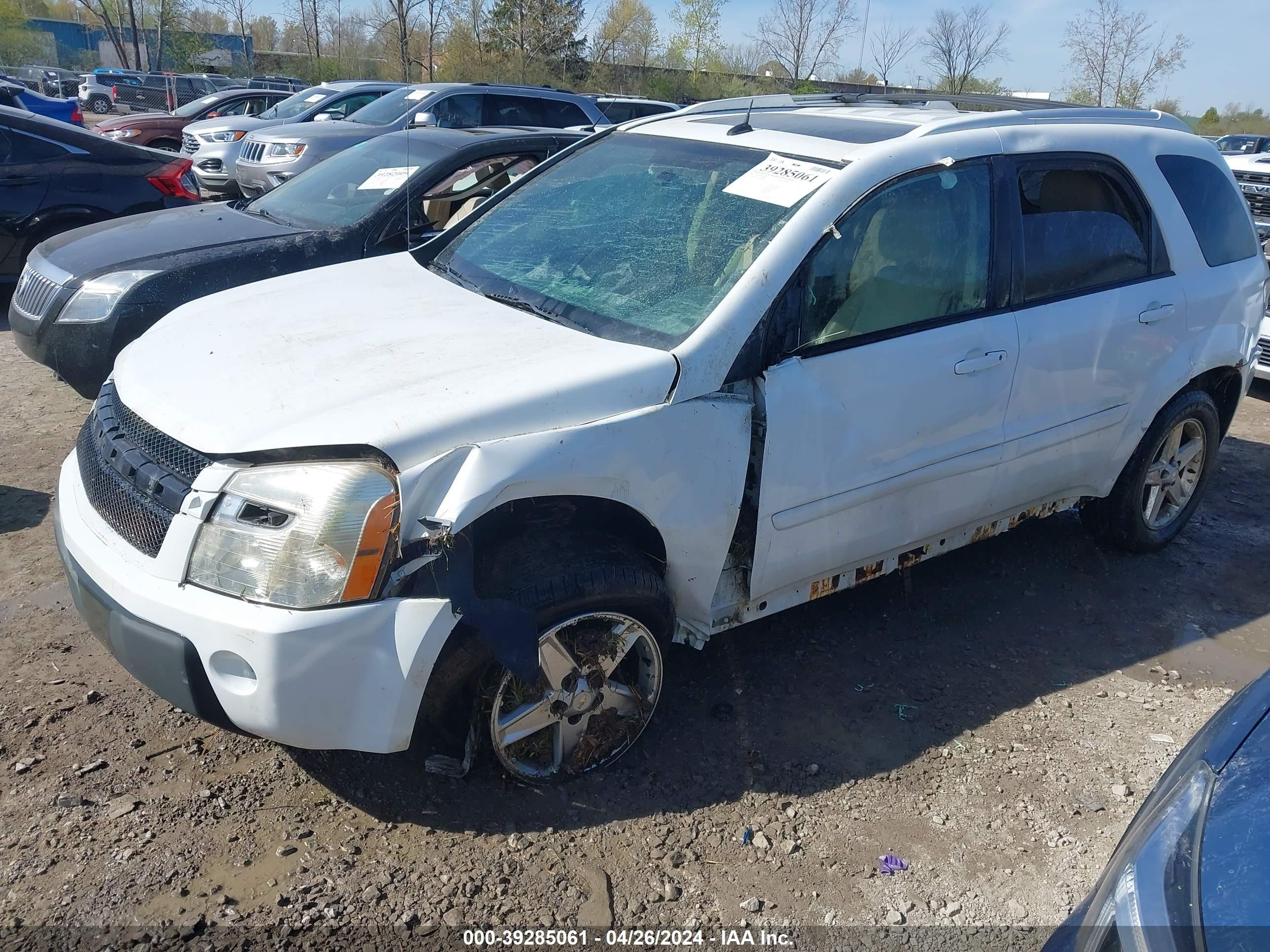 Photo 1 VIN: 2CNDL73F856198564 - CHEVROLET EQUINOX 