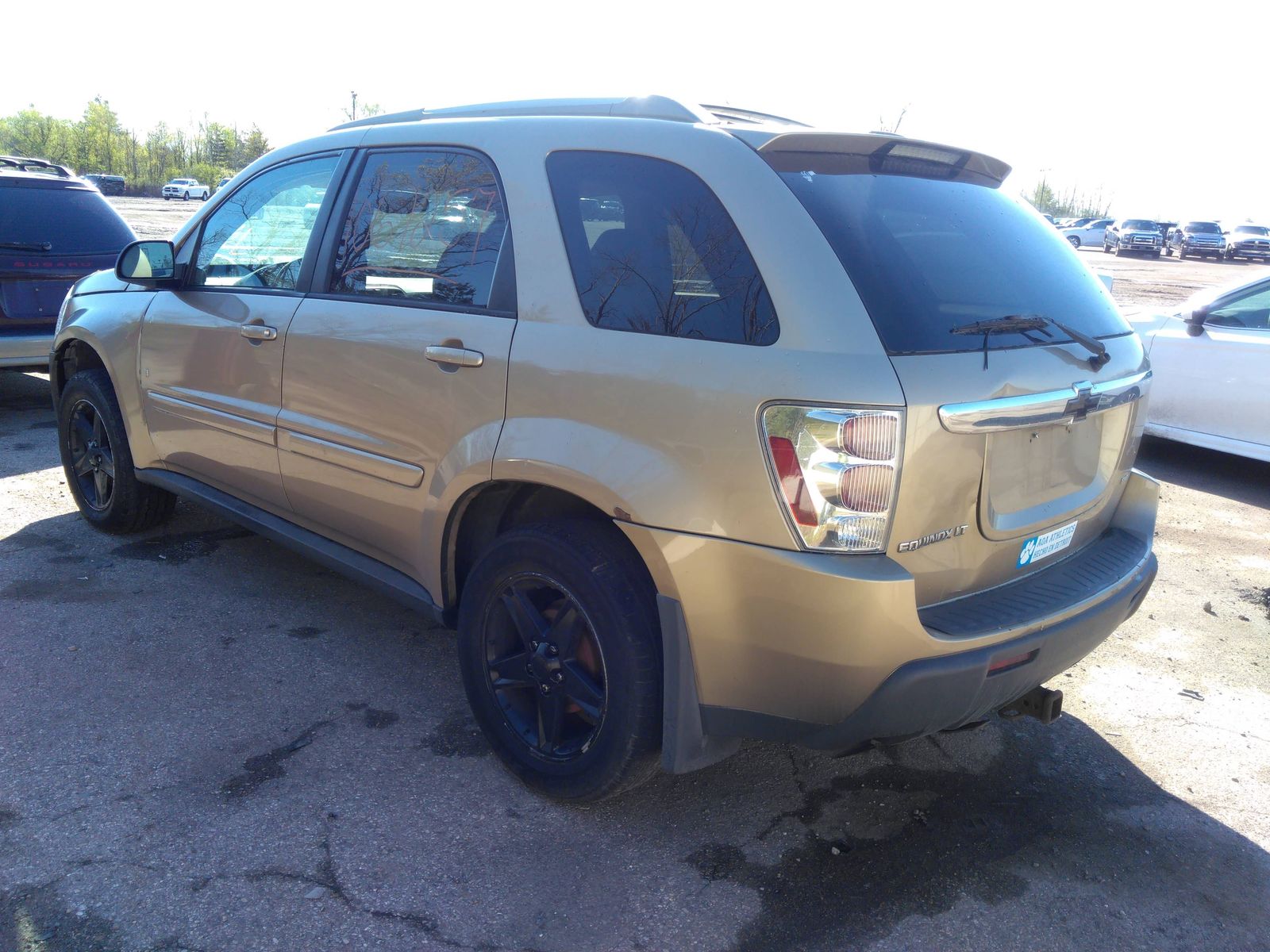 Photo 11 VIN: 2CNDL73F866208916 - CHEVROLET EQUINOX AWD 