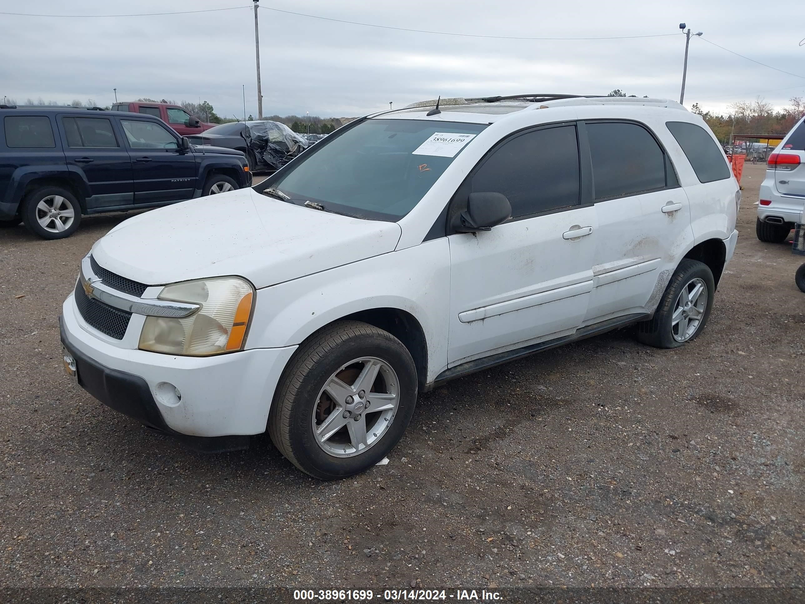 Photo 1 VIN: 2CNDL73F956010683 - CHEVROLET EQUINOX 