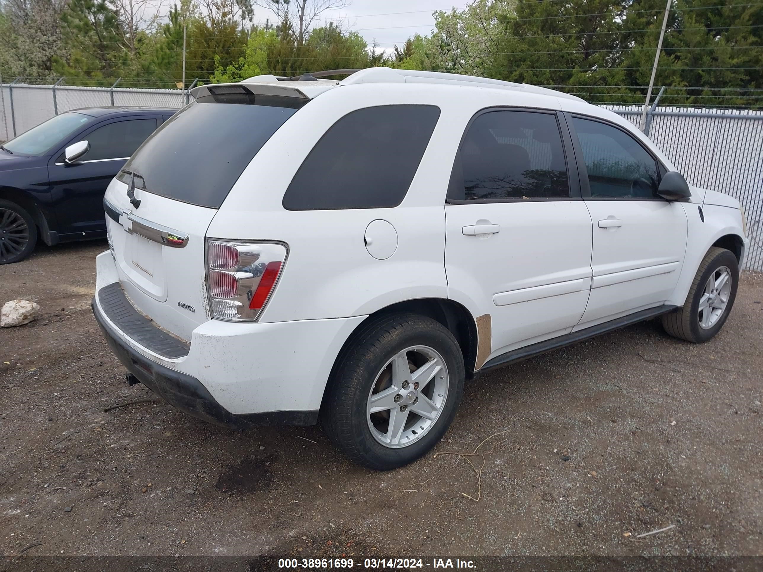 Photo 3 VIN: 2CNDL73F956010683 - CHEVROLET EQUINOX 