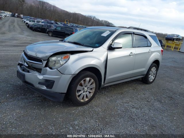 Photo 1 VIN: 2CNFLDE51B6343306 - CHEVROLET EQUINOX 