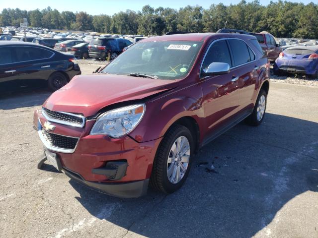 Photo 1 VIN: 2CNFLDE51B6430865 - CHEVROLET EQUINOX LT 