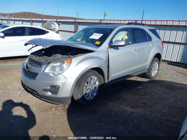 Photo 1 VIN: 2CNFLDE57B6250399 - CHEVROLET EQUINOX 