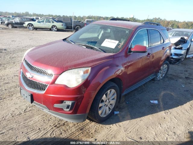 Photo 1 VIN: 2CNFLDE58B6276199 - CHEVROLET EQUINOX 