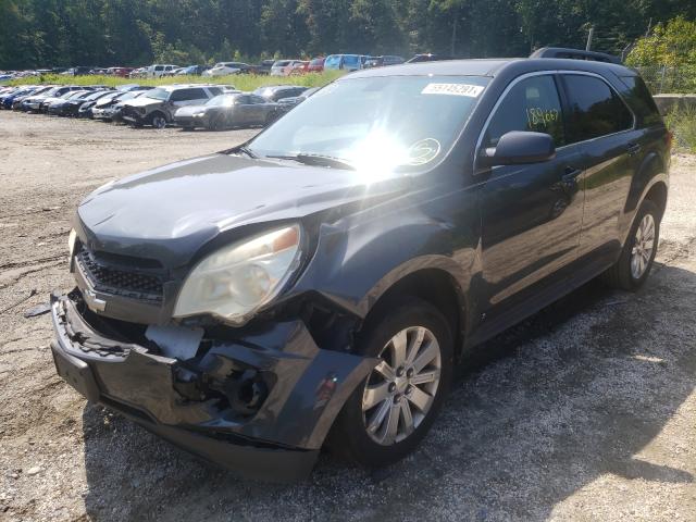 Photo 1 VIN: 2CNFLDEY3A6211124 - CHEVROLET EQUINOX LT 